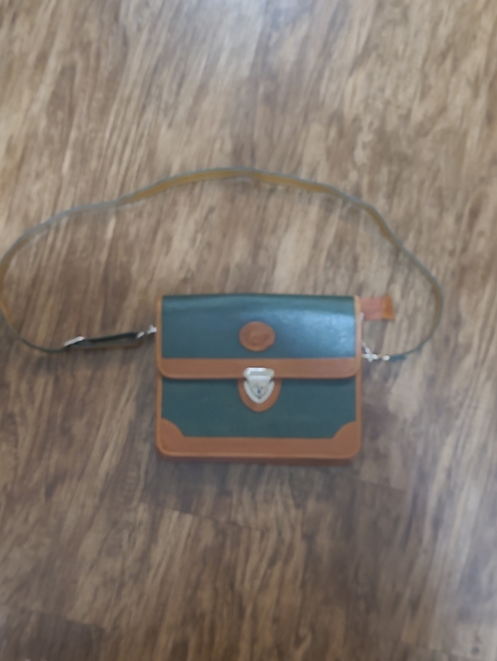 Vtg Carina International Leather Green Crossbody